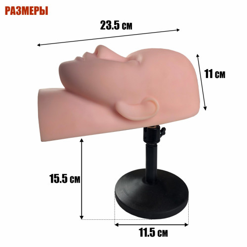 Манекен тренировочный для наращивания ресниц на настольной подставке, с регулировкой наклона и утяжелённым основанием