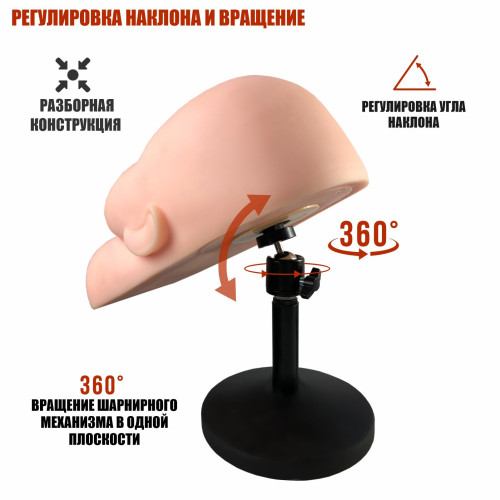Манекен тренировочный для наращивания ресниц на настольной подставке, с регулировкой наклона и утяжелённым основанием