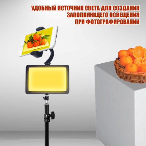 Портативная светодиодная LED панель RAG-1T3JBH с цветными фильтрами, напольным штативом и держателем для телефона