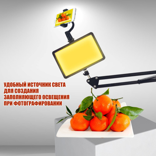 Портативная светодиодная LED панель RAG-1T3ST с цветными фильтрами на настольном пантографе с усиленной струбциной и держателем для телефона, USB